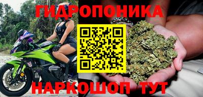 спайс Бердск