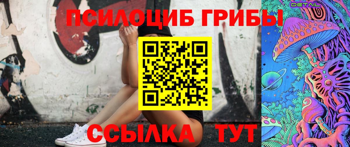 Псилоцибиновые грибы Psilocybe Бор