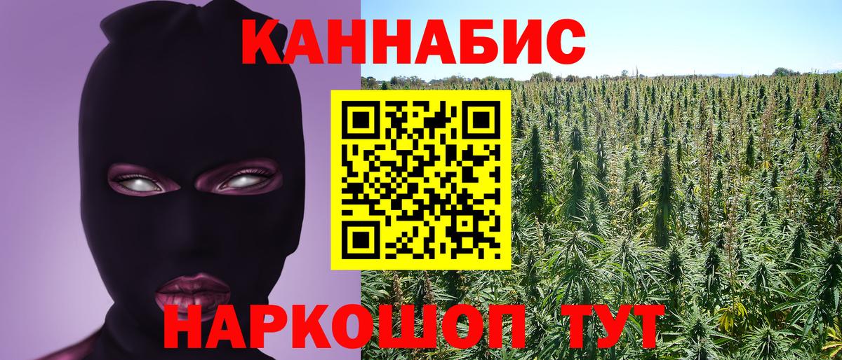 Конопля индика Бор
